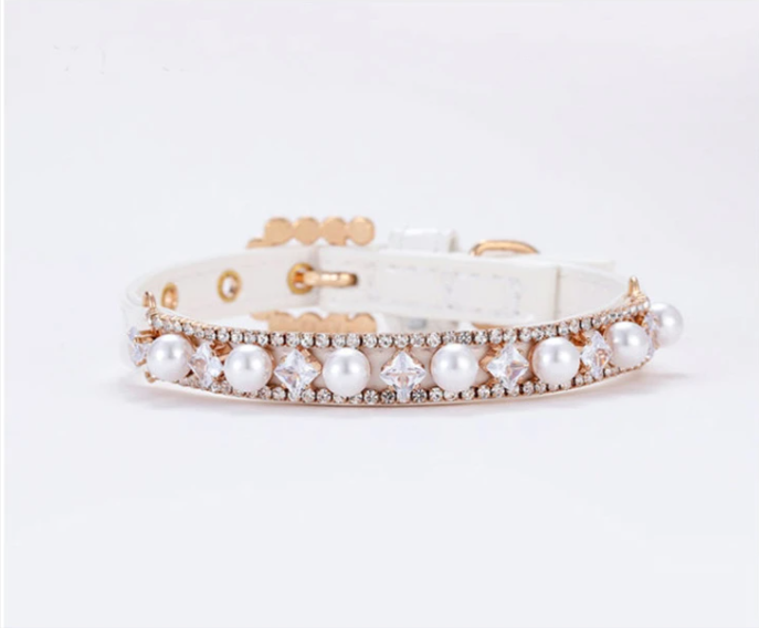 Collier élégant pour animaux de compagnie