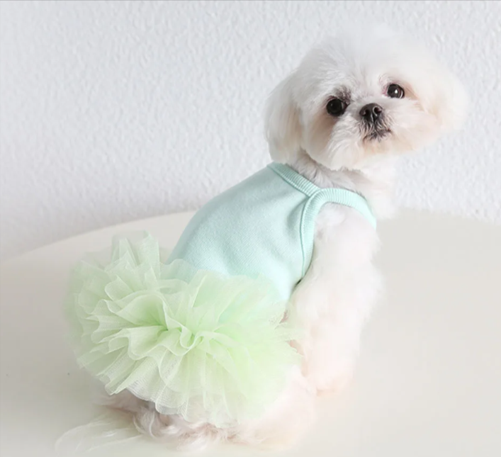 Fluffy Ballerina Pet Dress
