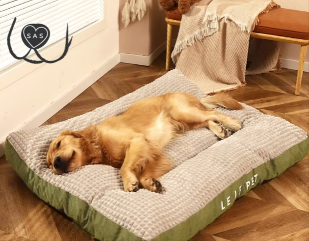 Lit orthopédique ultra-moelleux pour chien