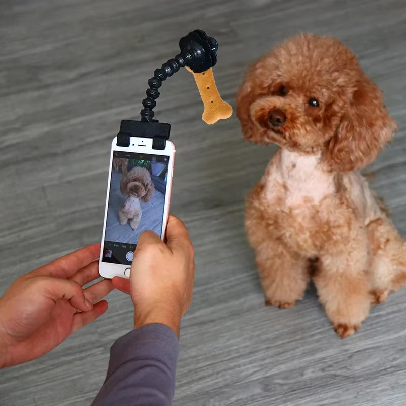 Pet Selfie Stick for Dogs Cat Photography Tools Pet Interaction Toys Concentrate Training Supplies Dog Accessories Drop Shipping