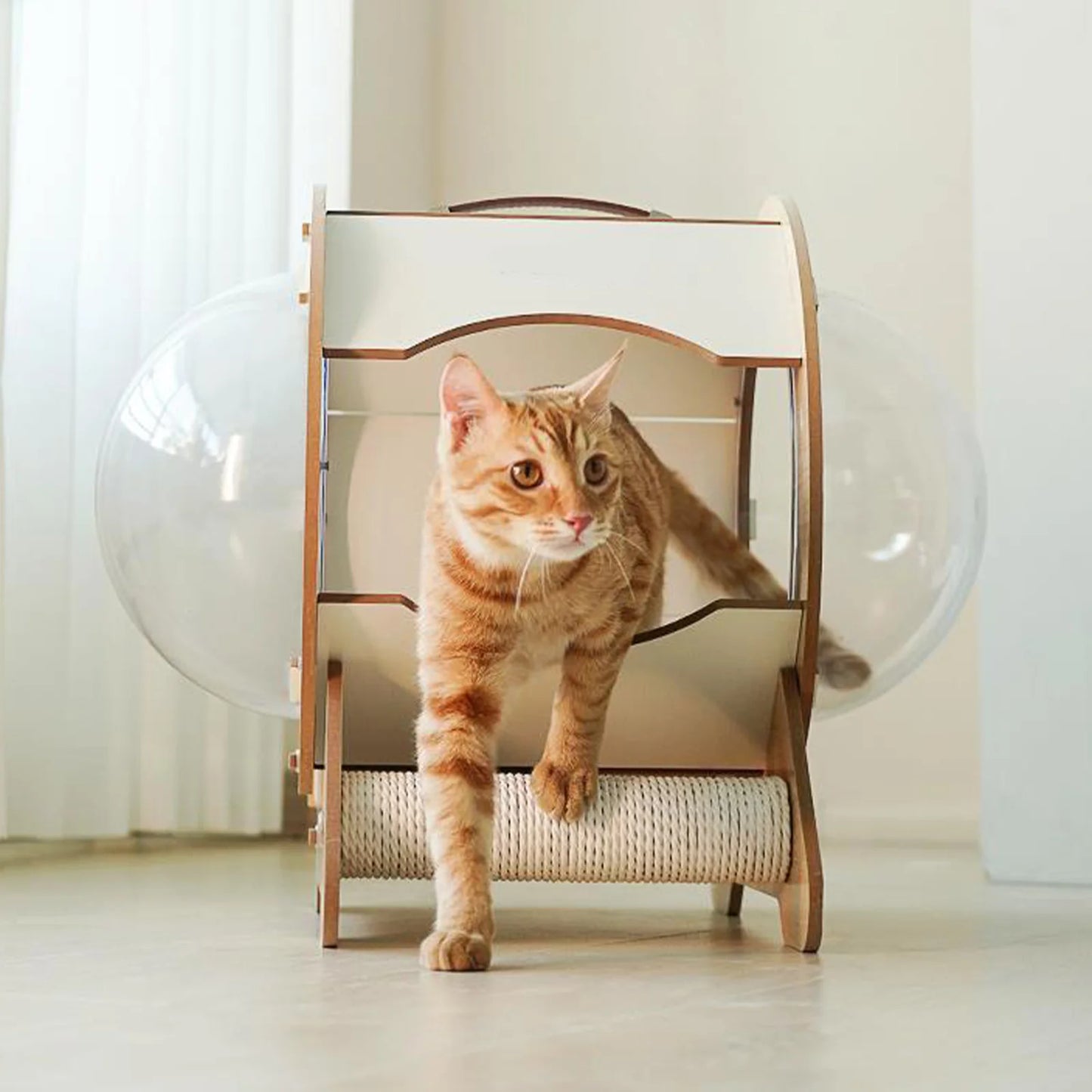2-In-1 Cat House with Scratch Board, 360°View Large Capacity Cat Bed for Cats of All Ages with Staircase
