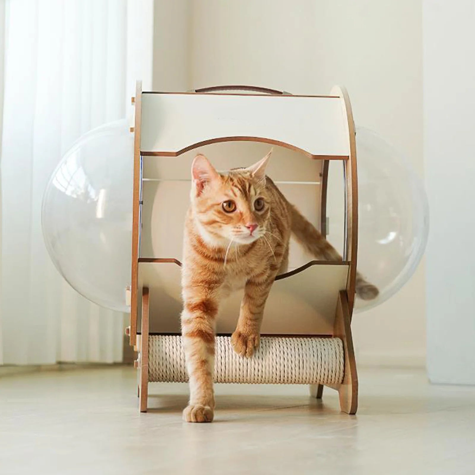 2-In-1 Cat House with Scratch Board, 360°View Large Capacity Cat Bed for Cats of All Ages with Staircase