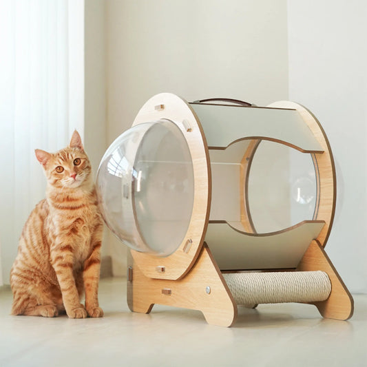 2-In-1 Cat House with Scratch Board, 360°View Large Capacity Cat Bed for Cats of All Ages with Staircase