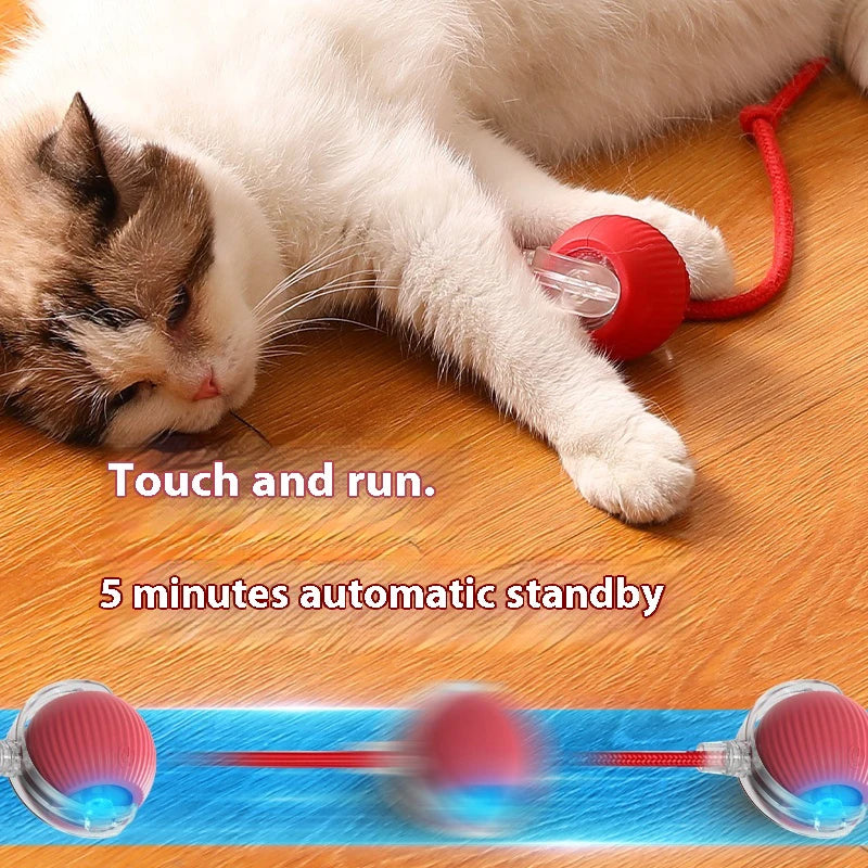 New Electric Cat Ball Toys Automatic Rolling Ball with Teaser Bird Cat Toys Pet Interactive Smart Sensor Rechargeable Cat Toys