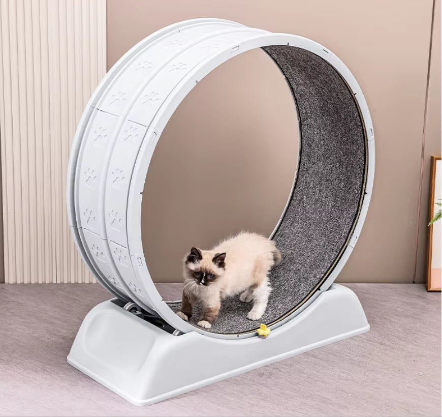 Cat Roller Treadmill Low Noise Cat Running Wheel Cat Fitness Treadmill Wheels Sustainable Cat Play Cat Accessories