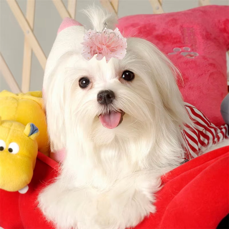 Pet Grooming for Puppy Cat Dog Hair Clip Crown Bow Lace Pet Hairpins Dog Multicolor Cat Headwear Pet Accessories