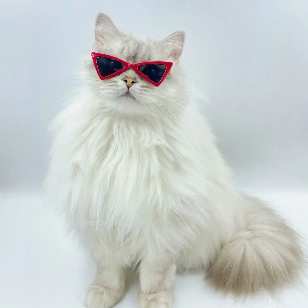 Vintage Triangular Pet Cat Sunglasses Pet Products for Small Dogs Kitten Puppy Cat Accessories Reflection Eyewear Glasses