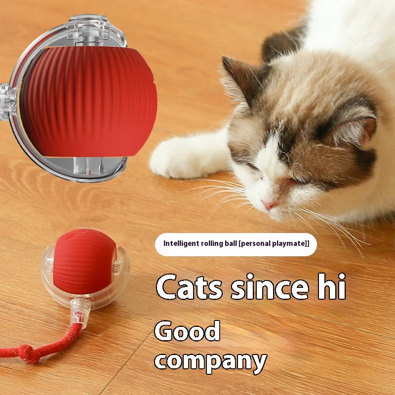 New Electric Cat Ball Toys Automatic Rolling Ball with Teaser Bird Cat Toys Pet Interactive Smart Sensor Rechargeable Cat Toys