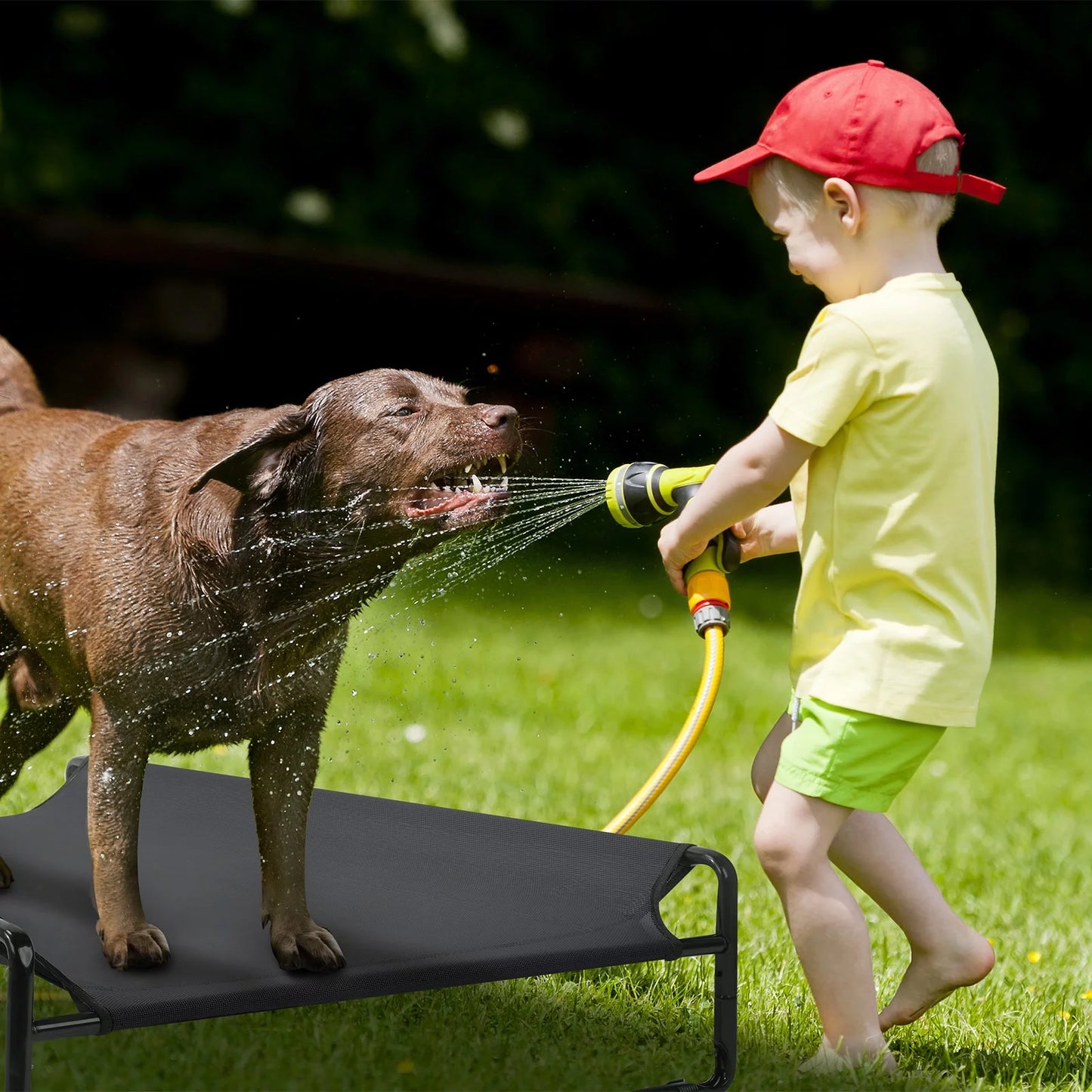 Original Cooling Elevated Dog Bed, Raised Dog Cot with Washable Mesh, Large, Black