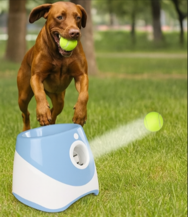 Automatische ballenwerper voor honden