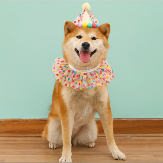 Happy Birthday-feestset voor huisdieren