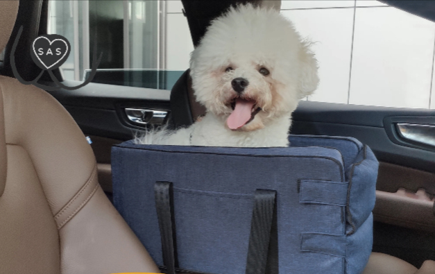 Lit pour animaux de compagnie 2 en 1 pour voyage et maison