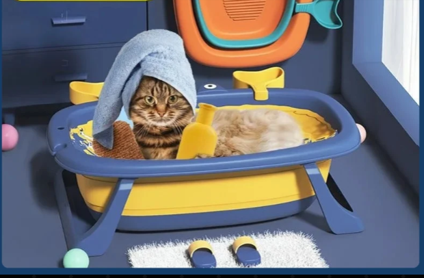 Pet Bathtub