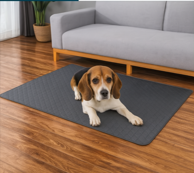 Multifunctionele absorberende pad