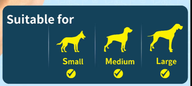 Balle intelligente DOGGIE