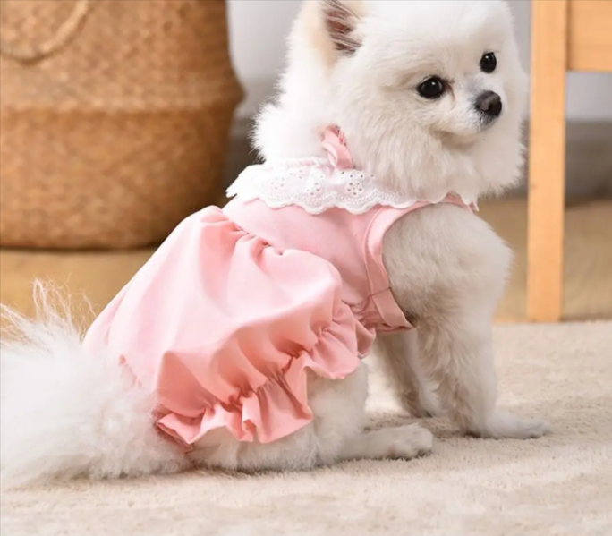 Robe de princesse pour bébé