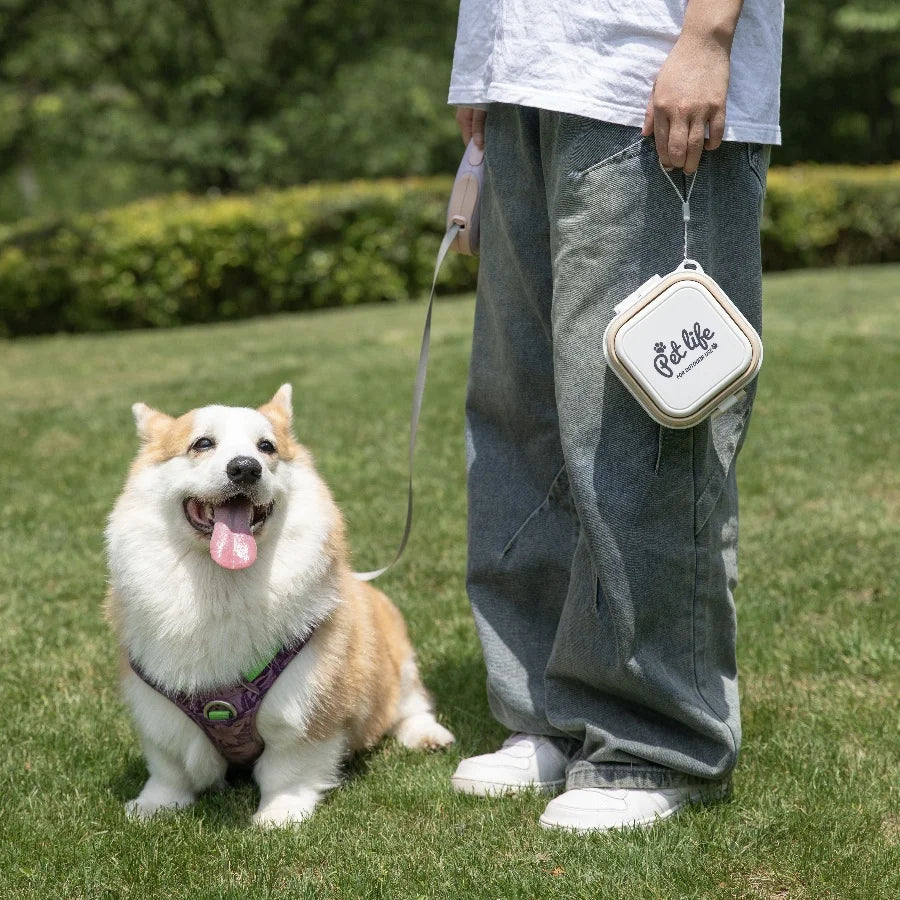 Portable Double-Decker Dog Travel Bowl for Cat Folding Bowl Food and Water Pet Outdoor Travel Supplies
