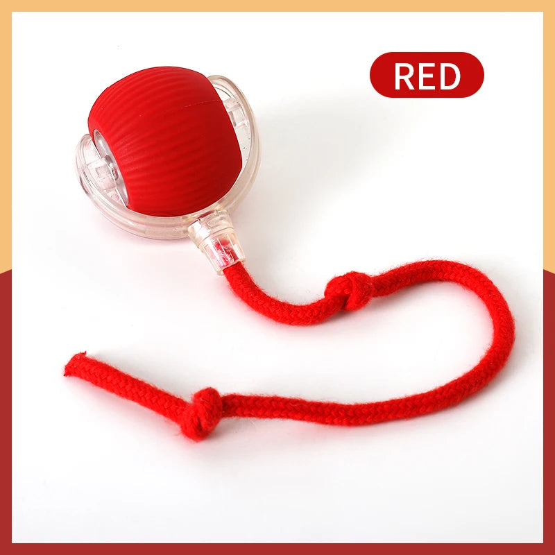 New Electric Cat Ball Toys Automatic Rolling Ball with Teaser Bird Cat Toys Pet Interactive Smart Sensor Rechargeable Cat Toys