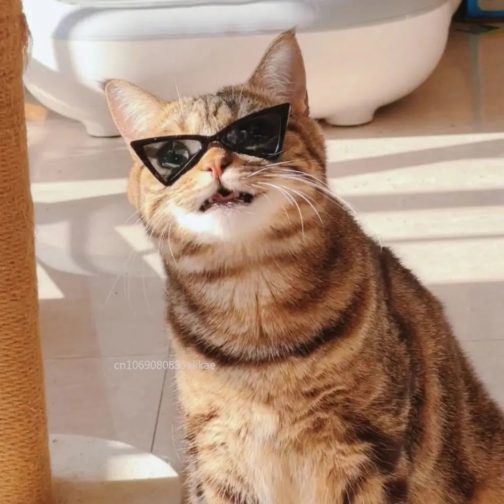 Vintage Triangular Pet Cat Sunglasses Pet Products for Small Dogs Kitten Puppy Cat Accessories Reflection Eyewear Glasses