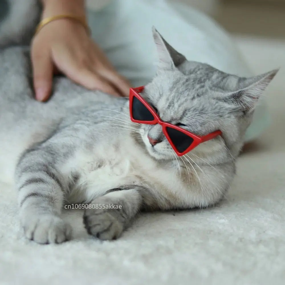 Vintage Triangular Pet Cat Sunglasses Pet Products for Small Dogs Kitten Puppy Cat Accessories Reflection Eyewear Glasses