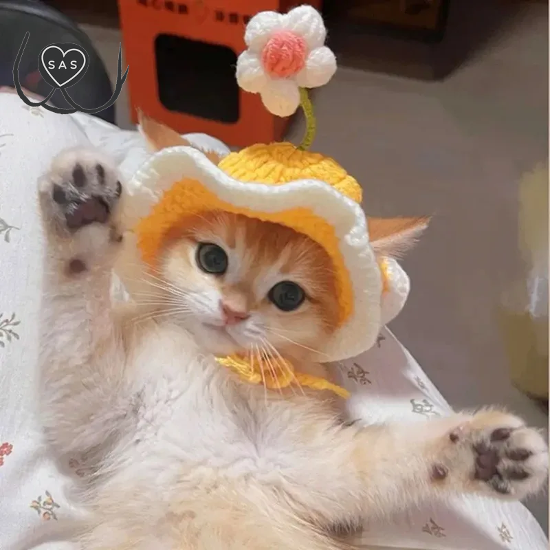 Cute Adjustable Cat Hat Elastic Pet Hat for Cats Small Dogs Kitten Headwear with Small Flowers Party Photo Decoration
