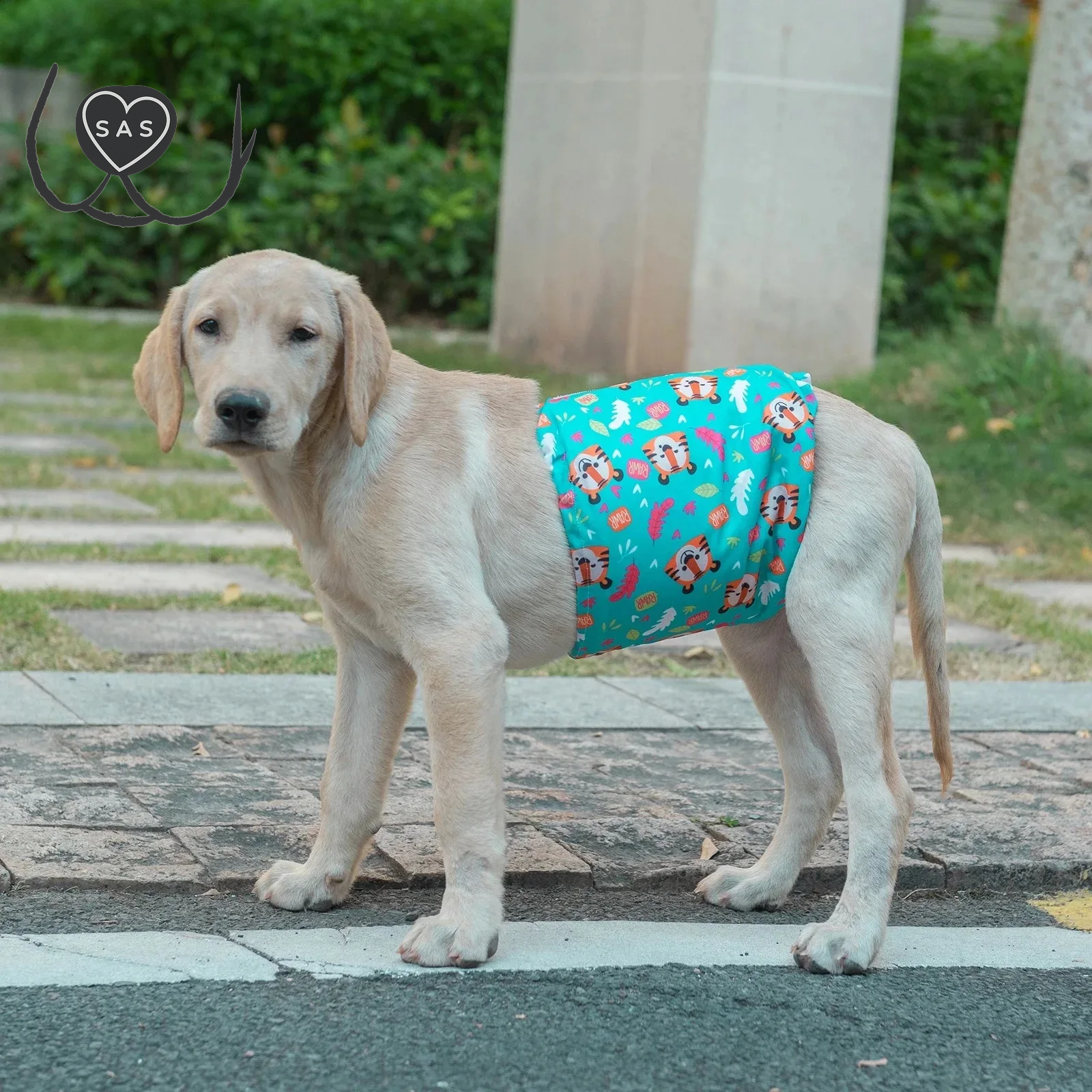 U Pick Cutebone Reusable Male Dog Diaper Washable Belly Bands for Male Dogs Wraps Fashion Dog Diaper Doggie Diapers