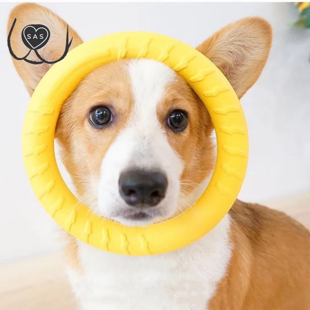 Dog Ring Toys Indestructible Chewing Flying Floating Training Tools Fetch for Small Medium Large Dogs Throwing Catching Flying