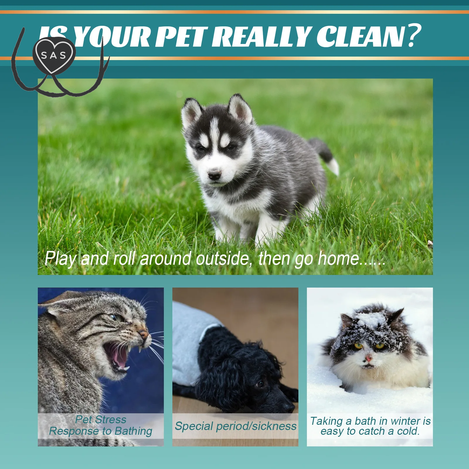Pet Disposable Cleaning Gloves Wash Free Dog Cat Spa Bathing Deodorant Fleas Tick Removal Antibacterial Cat Dry Cleaning Gloves