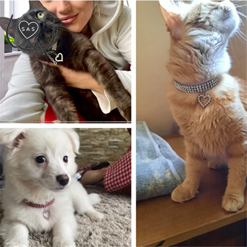 New Cat Dog Collar Three Row Elastic Rhinestone Pet Collars Love Decoration Necklace Puppy Kitten Ornament Pets Supplies