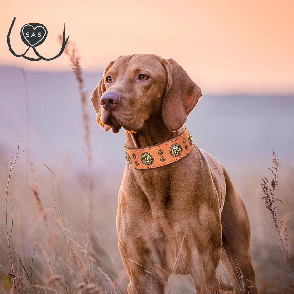 Real Leather Dog Collar Cool Spiked Studded Pet Collars Genuine Leather Medium Large Dogs Collars Necklace Pitbull Bulldog