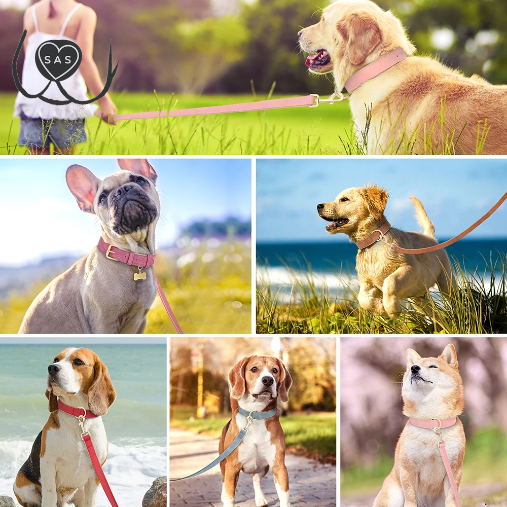Soft Padded Dog Collar Leash Set PU Leather Pet Dog Collars Necklace with Walking Lead Rope Adjustable for Small Medium Dogs Pug