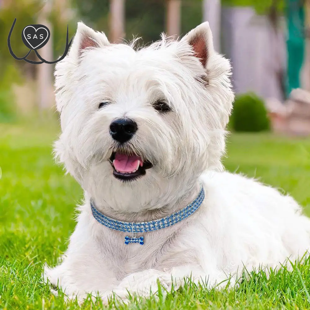 1Pcs Luxury Dog Collar for Big Small Dog Luxuryglitter Jeweled Bone Pendent Luxury Elastic Crystal Dog Collar Dog Accessories