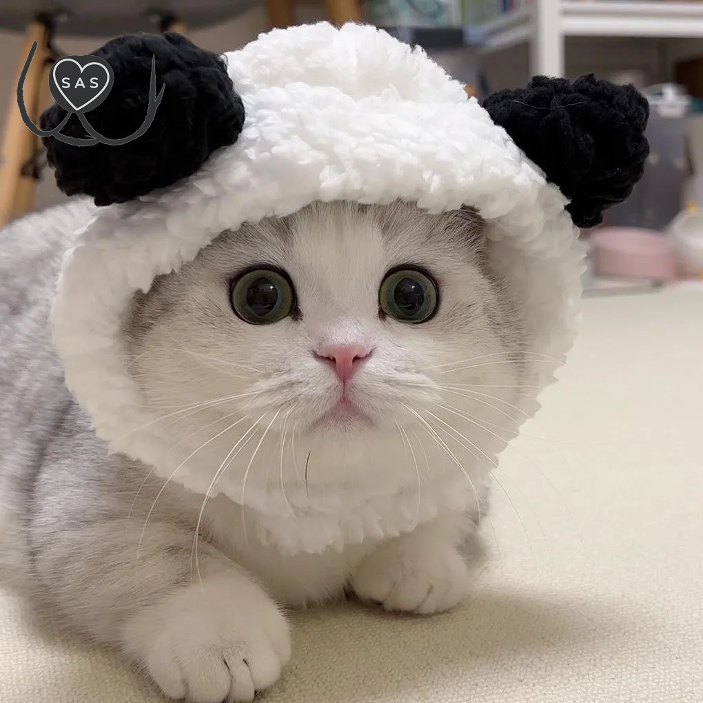 Cute Refined Cat Hat Plush Elastic Winter Pet Hat Puppy Kittens Knitted Hat Party Cosplay Props Decoration Cat Accessories Pet