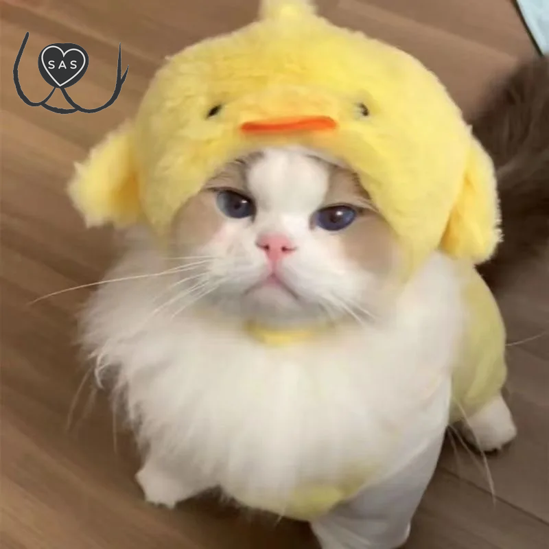 Cute Refined Cat Hat Plush Elastic Winter Pet Hat Puppy Kittens Knitted Hat Party Cosplay Props Decoration Cat Accessories Pet