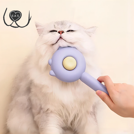 Three Colors Pet Comb One-Key Hair Removal Cleaning Brush Magic Massage Grooming the Cat Hair Brush Is Easy to Carry and Clean